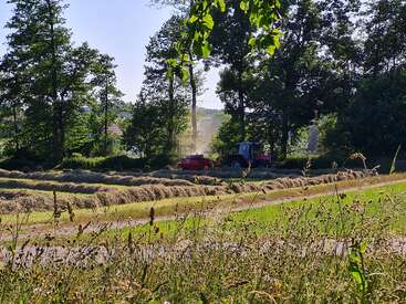 A red tractor is harvesting hay in a sunny field, surrounded by green trees and tall grass, with dust rising gently under a clear blue sky.
