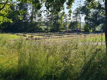 A sunny countryside scene shows a tractor in a green field, surrounded by trees. Cut hay is arranged in rows, with bales scattered across the landscape.