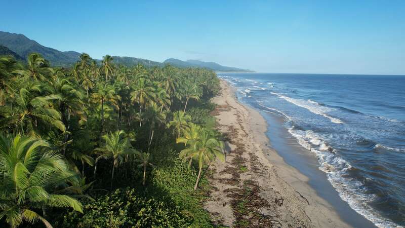 Bring your good vibes and skills to our beautiful place on the beach in