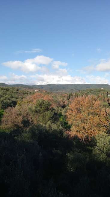 Eine wunderschöne Landschaft aus sanften, grünen Hügeln, die mit Bäumen bewachsen sind, von denen einige in Herbstfarben leuchten. Im Hintergrund sind ferne Berge und ein strahlend blauer Himmel zu sehen.