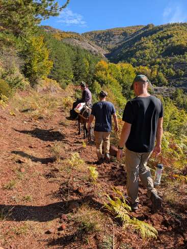 Três caras estão caminhando por uma trilha montanhosa cheia de pedras, cercada por árvores verdes e um céu azul. Um deles está montado em um burro, curtindo a beleza da natureza.