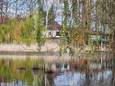 Weidenzweige hängen über einen ruhigen Teich und spiegeln Häuser und Schilf wider. Frühlingsgrün umgibt das stille Wasser, während der blaue Himmel durch die Bäume und Zweige hindurchblitzt.