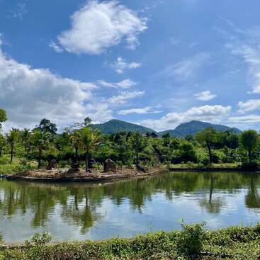 Un paysage paisible présente un étang calme reflétant une verdure luxuriante, des palmiers et des montagnes lointaines sous un ciel bleu vif, parsemé de nuages blancs et floconneux. Un paysage magnifiquement serein.