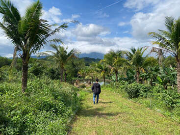Une personne marche sur un chemin herbeux bordé de palmiers, entouré d'une verdure luxuriante, sous un ciel bleu vif avec des nuages épars et des montagnes lointaines.