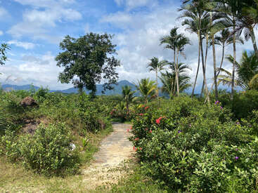 A narrow stone path winds through lush green foliage, colorful flowers, and tall palm trees beneath a blue sky with scattered clouds and distant mountains.