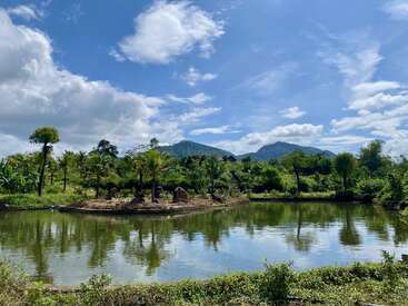 A tranquil landscape features a calm pond reflecting lush greenery, palm trees, and distant mountains beneath a bright blue sky, dotted with fluffy white clouds. Beautifully serene.