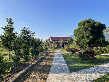 A stone pathway leads through a lush garden with trees and vibrant flowers to a charming house with a red roof under a clear blue sky.