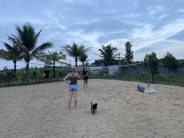 Cuatro personas y un perrito negro se encuentran en una cancha de voleibol de arena rodeada de palmeras, vegetación y un cielo azul nublado al atardecer.