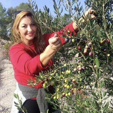 Una mujer de pelo largo y rubio recoge aceitunas de un olivo en el campo, con camisa roja y pantalones grises.