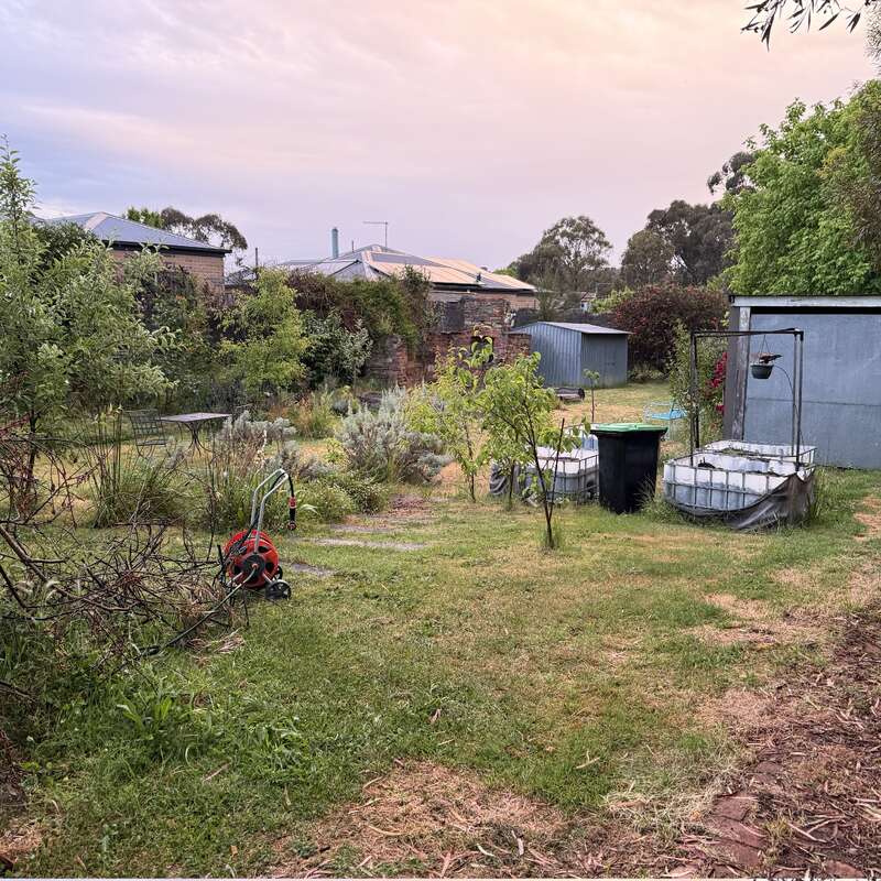 Das Bild zeigt einen Hinterhof mit einem Schuppen, einem Garten und einer Wiese, mit einer Mischung aus Grün, Bäumen und einem bewölkten Himmel.