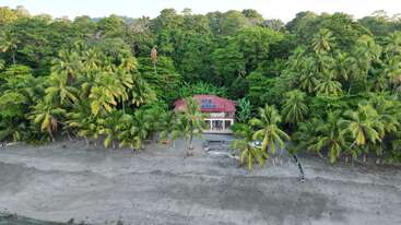 A small house with a red roof sits on a sandy beach, surrounded by lush palm trees and dense green jungle, facing the tranquil ocean.