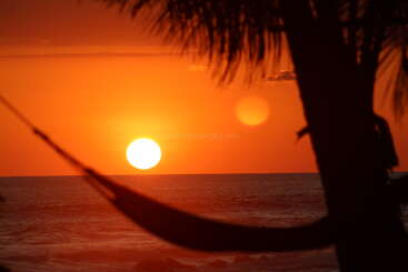 A stunning sunset over the ocean, silhouetted by palm trees and a hammock, creates a tranquil tropical scene bathed in warm orange and golden hues.