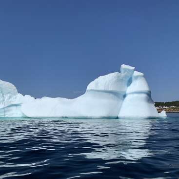 Un iceberg massif flotte sereinement dans l'océan calme et bleu foncé, sous un ciel clair. La verdure et le littoral sont visibles au loin sur le bord droit.