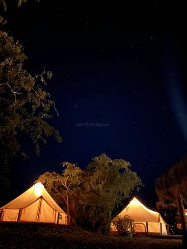 Zwei warm beleuchtete Zelte stehen unter einem tiefen, sternenklaren Nachthimmel, umgeben von Bäumen und Natur, und schaffen eine friedliche, einladende Atmosphäre, die perfekt zum Zelten ist.