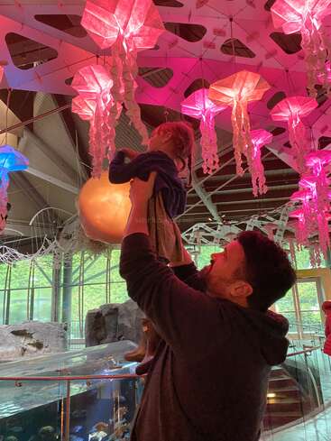 A man lifts a child toward glowing, colorful jellyfish-shaped lights hanging from the ceiling in an aquarium or museum, creating a magical, joyful atmosphere.