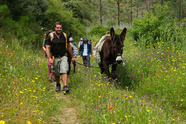 A group of hikers walks along a lush, colorful trail surrounded by wildflowers, led by a man guiding a donkey carrying supplies through the scenic countryside.