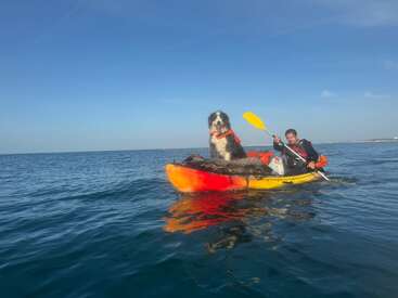 Um homem e seu cachorro remam juntos em um caiaque amarelo e laranja brilhante nas águas azuis e calmas, ambos usando coletes salva-vidas, aproveitando um dia ensolarado.