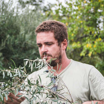 The image depicts a man standing outdoors, holding an olive branch with leaves and olives, wearing a light-colored t-shirt, with trees and a power line visible in the background.
