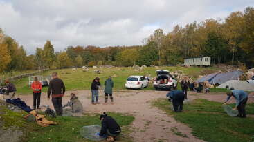 Eine Gruppe von Menschen arbeitet im Freien auf einer Wiese in der Nähe von geparkten Autos und Bäumen. Einige knien auf dem Boden und scheinen mit Maschendraht zu hantieren.