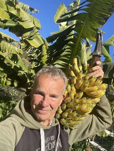 Um homem sorridente, vestindo um moletom com capuz, segura um grande cacho de bananas no ombro, em pé ao ar livre entre bananeiras exuberantes, sob um céu azul claro.