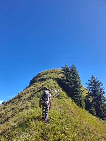 Ein Wanderer mit Rucksack und Hut erklimmt einen grasbewachsenen Bergkamm unter einem klaren blauen Himmel, umgeben von immergrünen Bäumen und üppiger grüner Vegetation.