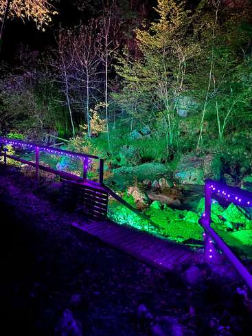 Eine kleine Holzbrücke mit lila beleuchteten Geländern führt über einen felsigen Bach. Die umliegenden Bäume und das Laub leuchten in der Nacht in grünen, gelben und violetten Farben.