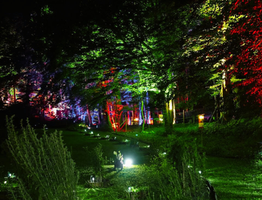 Eine lebendige Waldszene, die nachts mit bunten Lichtern - grün, rot, blau - beleuchtet wird und eine magische, bezaubernde Atmosphäre zwischen Bäumen, Gras und Wegen schafft. Schatten und Lichter mischen sich wunderschön.