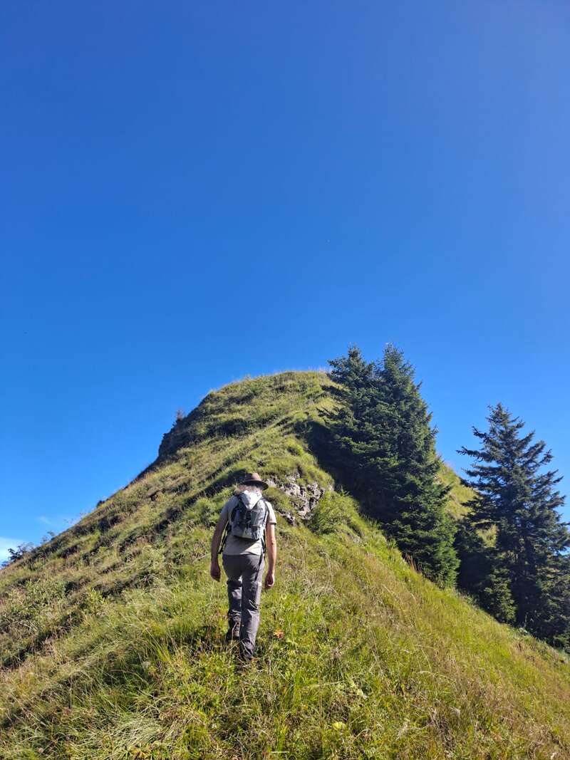 Ein Wanderer mit Rucksack und Hut erklimmt einen grasbewachsenen Bergkamm unter einem klaren blauen Himmel, umgeben von immergrünen Bäumen und üppiger grüner Vegetation.
