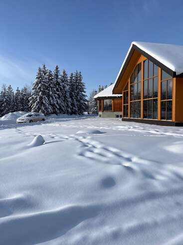 Une maison moderne aux grandes fenêtres se trouve à côté d'une cour enneigée. Les pins et une voiture garée sont recouverts de neige fraîche sous un ciel bleu clair.