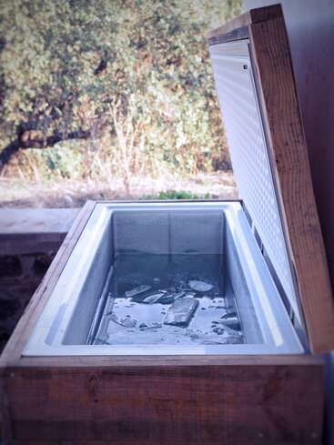 This image shows an open chest freezer filled with water and floating ice blocks, situated outdoors near greenery, possibly being used as an ice plunge bath.