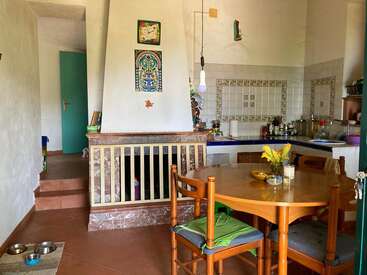 This cozy kitchen features a round wooden table with chairs, decorative tiles, and a fireplace. There’s a blue door, pet bowls, flowers, and rustic decor.