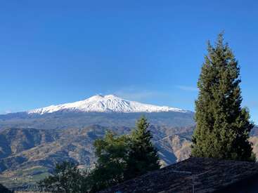 A snow-capped mountain peaks majestically under a clear blue sky, surrounded by green hills, tall pine trees, and rooftops in the foreground on a sunny day.