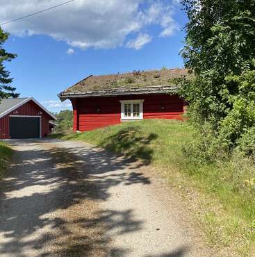 Une cabane en bois rouge au toit vert recouvert d'herbe se dresse au bord d'une allée en gravier, entourée d'une végétation luxuriante et d'arbres, sous un ciel bleu partiellement nuageux.