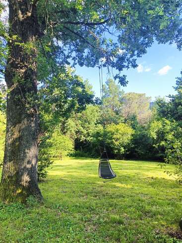 Un columpio de árbol cuelga de una rama robusta en medio de un jardín frondoso y verde. La luz del sol se filtra a través de las hojas, creando un ambiente al aire libre tranquilo y acogedor.