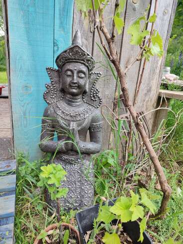 Une statue de pierre sereine aux détails complexes est posée sur des planches de bois patinées et entourée de plantes vertes luxuriantes, créant ainsi une scène paisible et naturelle dans un jardin.