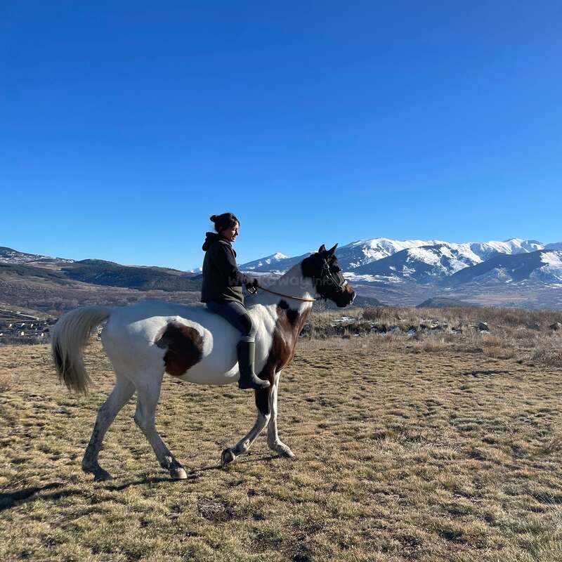 Une personne chevauche un cheval brun et blanc sur un terrain herbeux, entourée de montagnes enneigées sous un ciel bleu clair par une journée ensoleillée.