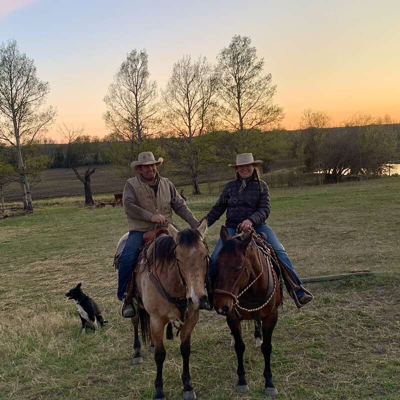 Two people wearing cowboy hats ride horses side by side at sunset in an open field, accompanied by a black and white dog nearby. Peaceful countryside.