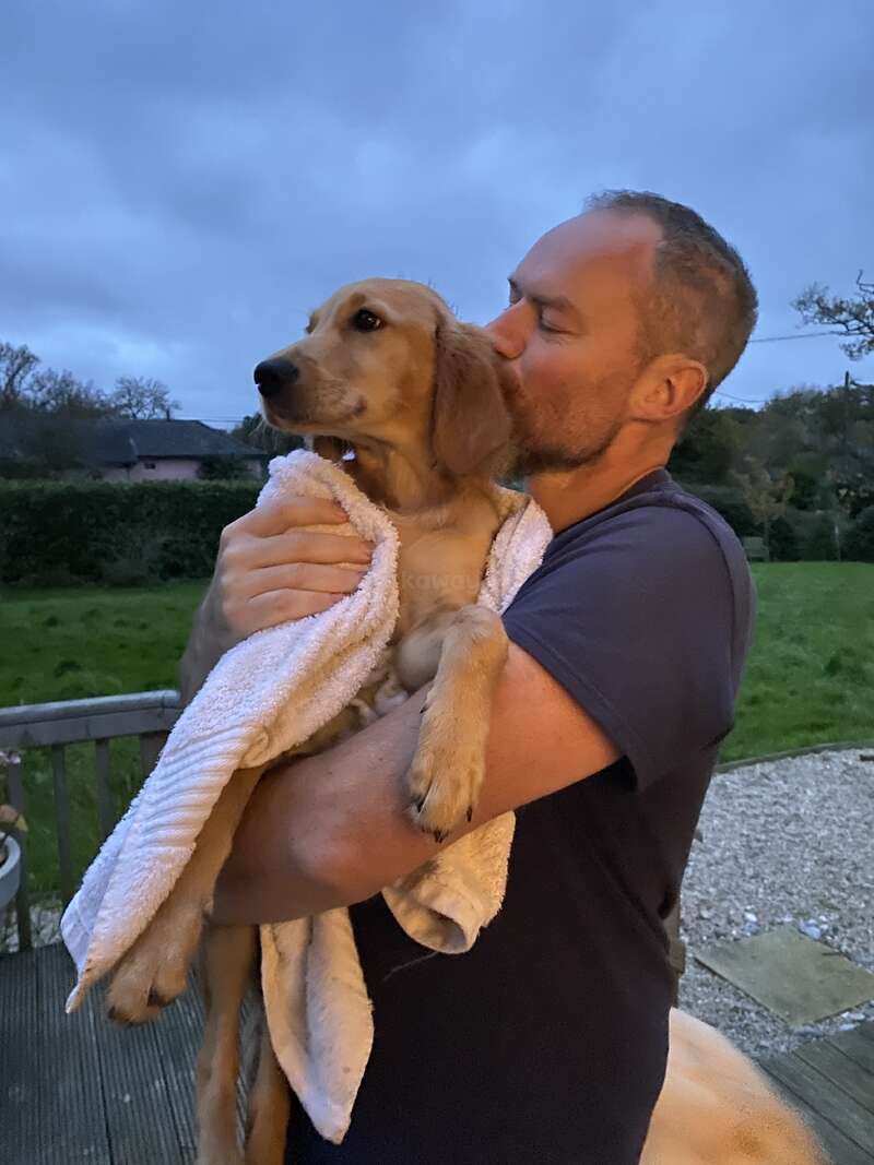 A man lovingly hugs and kisses a golden dog wrapped in a white towel outside at dusk, surrounded by grass, trees, and a cloudy sky.