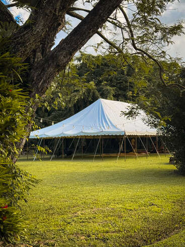 Una gran carpa blanca está instalada sobre el césped verde, rodeada de frondosos árboles y follaje, con la luz del sol filtrándose a través de ellos, creando una tranquila escena al aire libre.