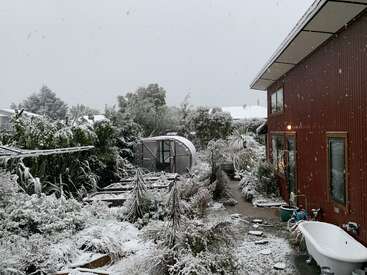 La nieve cubre un jardín trasero con plantas, árboles y un camino junto a una casa roja. Entre el paisaje invernal, una bañera y un invernadero.