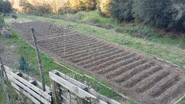 This image shows a freshly plowed rectangular garden bed with parallel furrows, surrounded by green grass, trees, and a simple wooden fence in a rural setting.