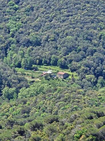 An aerial view shows a small rural house and outbuildings surrounded by dense, green forest, illustrating isolation, tranquility, and a deep connection with nature.