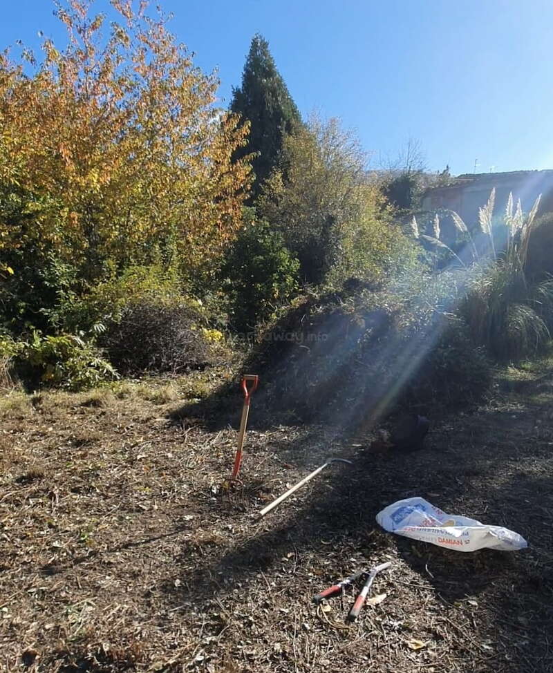 Une scène de jardin baignée de soleil montre des outils de jardinage, une pelle et un sac posés sur un sol sec. De grands arbres et des buissons entourent l'endroit sous un ciel dégagé.
