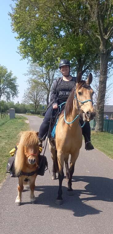 Eine Frau reitet auf einem Pferd und führt dabei ein kleines Pony an einer sonnigen Straße entlang, die von grünem Gras und hohen Bäumen gesäumt ist, während über ihnen der strahlend blaue Himmel zu sehen ist.