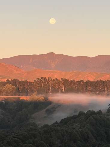 Une pleine lune se lève au-dessus des montagnes lointaines, projetant une lueur chaleureuse. Des pins bordent l'horizon, tandis que la brume matinale flotte au-dessus de la forêt verdoyante et ombragée en contrebas.