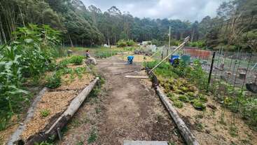 The image shows a lush community garden with various vegetable beds, surrounded by trees. A person sits on the left side, while gardening tools and blue bins are present.