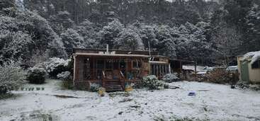 A cozy wooden cabin sits in a snowy clearing surrounded by dense, snow-covered trees, with a light blanket of snow covering the ground and garden.