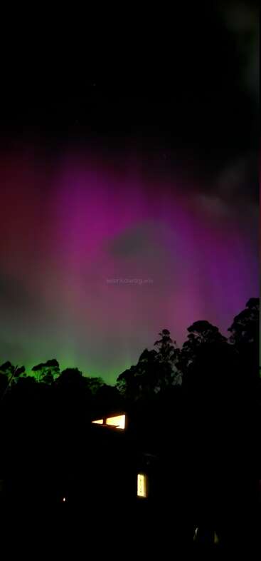 A mesmerizing aurora lights up the night sky with vibrant pink and green hues above silhouetted trees and a cozy, warmly-lit house nestled below.