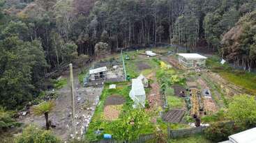 This image shows a lush garden and farm surrounded by dense forest. There are vegetable patches, greenhouses, animal pens, pathways, small sheds, and poultry. Peaceful countryside.