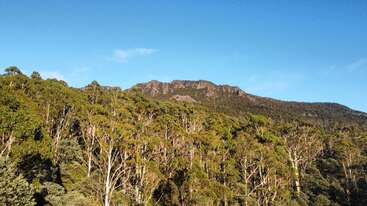 A lush green forest covers rolling hills beneath a rugged, rocky mountain ridge. The sky above is clear and blue, creating a peaceful, natural landscape.